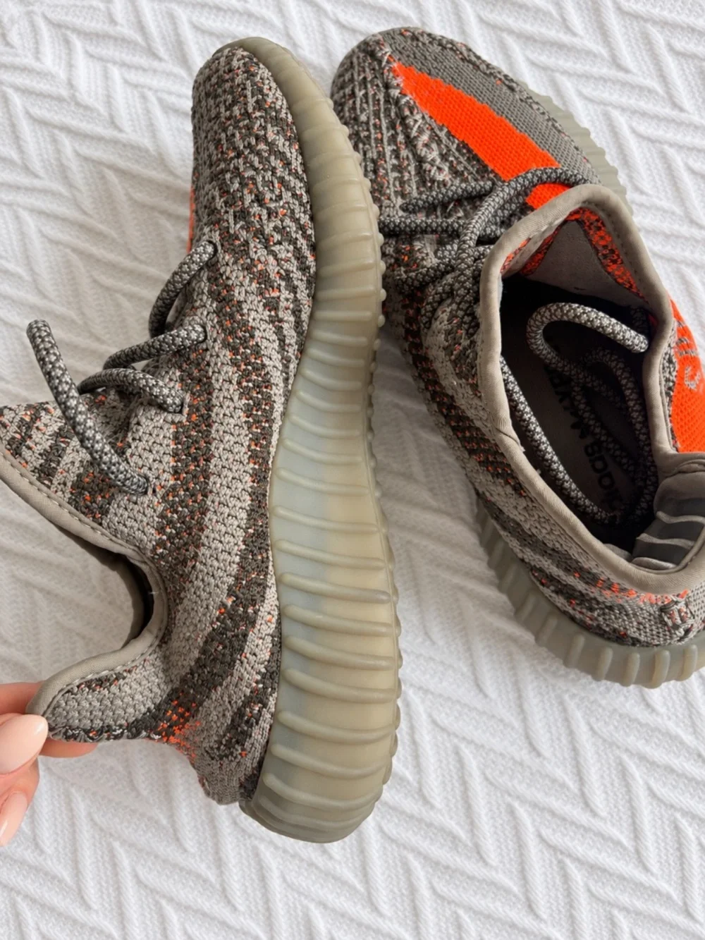 Yeezy classic neutral